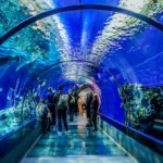 九州・沖縄で誕生日特典がある水族館まとめ【2021年版】